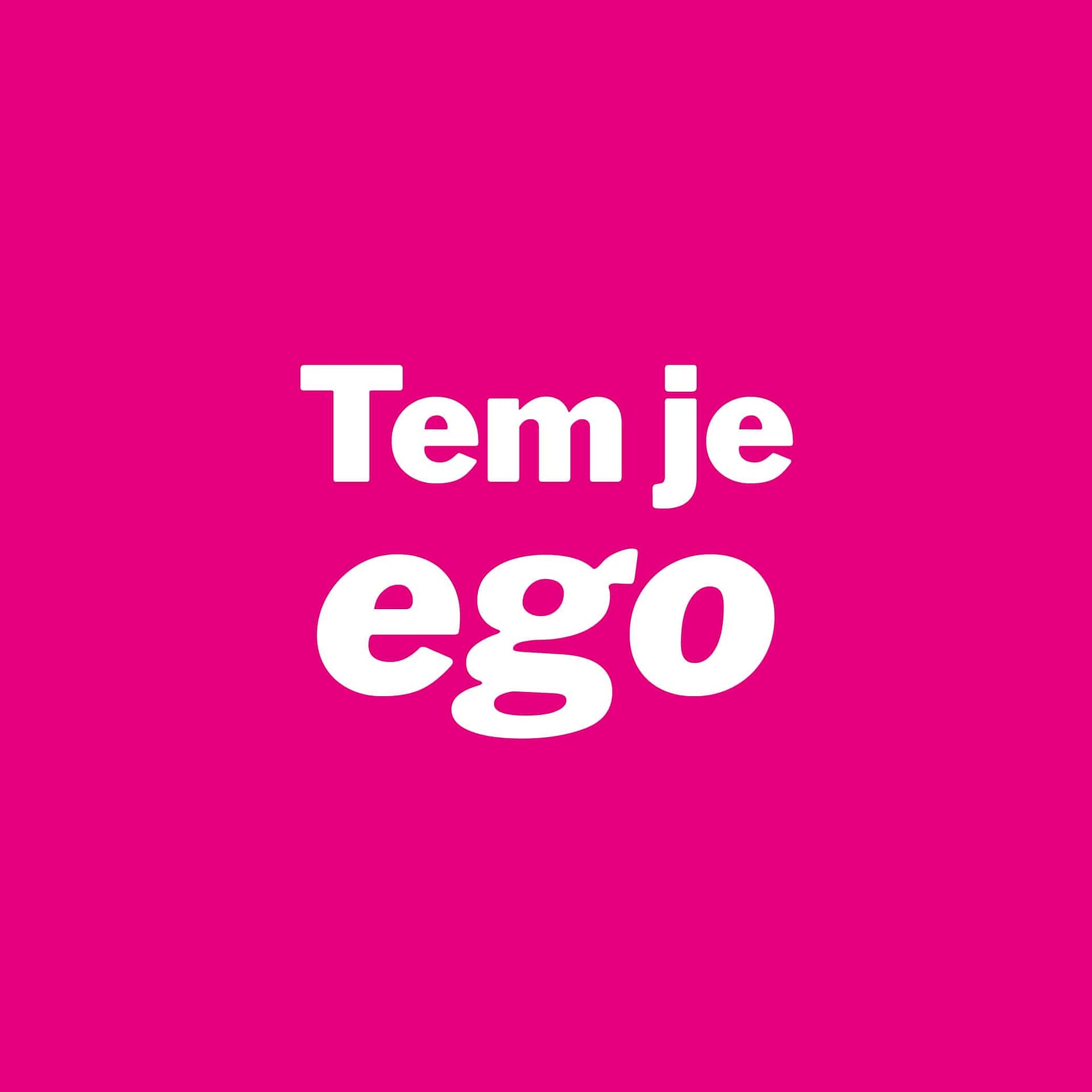 Tem je ego