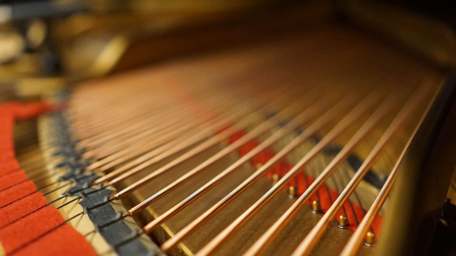Richter speelt Schubert